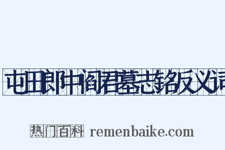 屯田郎中阎君墓志铭反义词是什么意思的图片